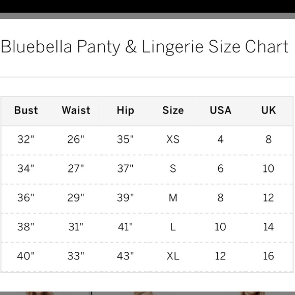 Bluebella harness - Picture 9 of 14